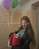 Анкета проститутки Алла - метро Строгино, возраст - 26